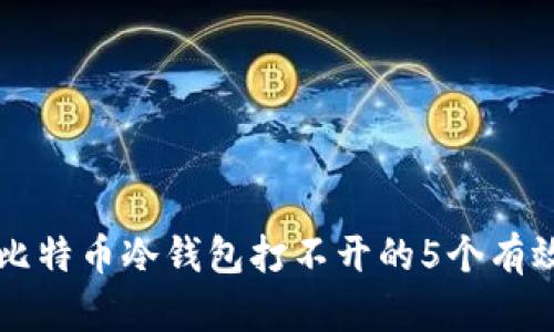 解决比特币冷钱包打不开的5个有效方法