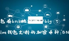 bigtoken.im钱包有bnb地址吗？