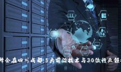 2023 Web3.0峰会在四川成都：