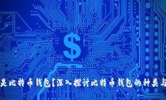 什么是比特币钱包？深入