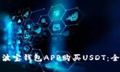 如何通过波宝钱包APP购买USDT：全方位指南