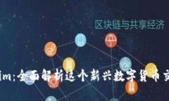 Token.im：全面解析这个新兴