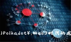 深入解析波卡（Polkadot）：Web3时代的龙头币全景