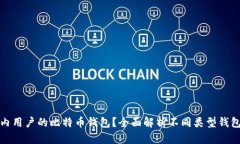 如何选择最适合国内用户