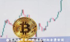 数字钱包支持比特币支付的全景分析