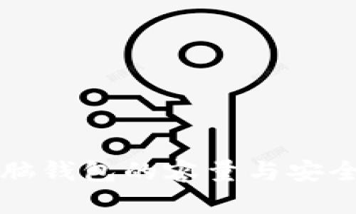 比特币脑钱包的容量与安全性分析