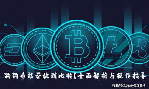 狗狗币能否放到比特？全面解析与操作指导